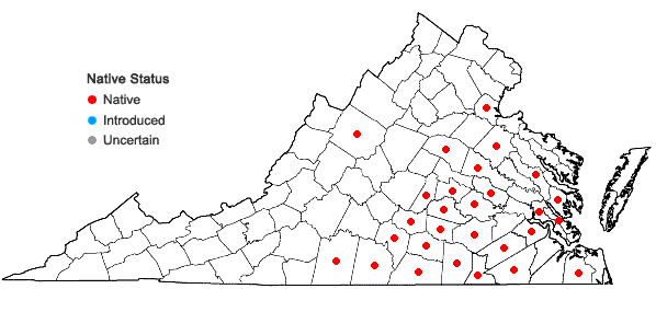 Locations ofCarex oxylepis Torrey & Hooker in Virginia