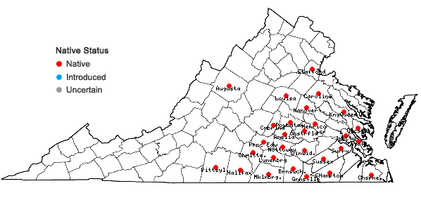 Locations ofCarex oxylepis Torrey & Hooker in Virginia