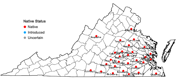 Locations ofCarex oxylepis Torrey & Hooker in Virginia