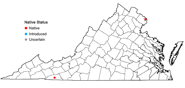 Locations ofCarex pallescens L. in Virginia
