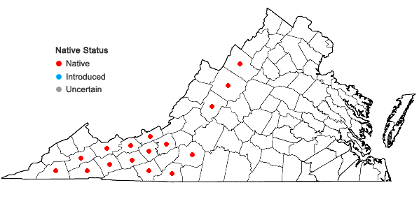 Locations ofCarex pedunculata Muhl. ex Willd. var. pedunculata in Virginia