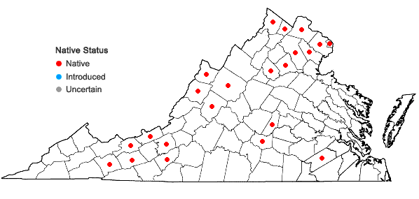 Locations ofCarex pellita Willd. in Virginia