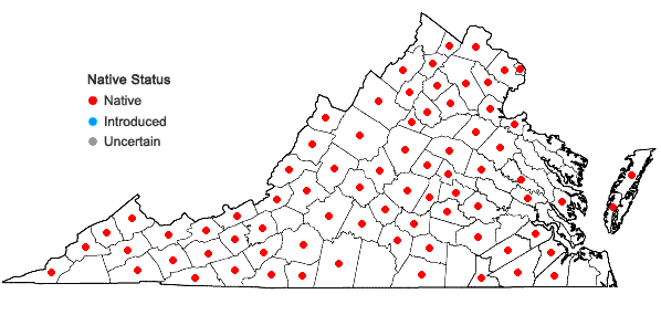 Locations ofCarex pensylvanica Lam. in Virginia