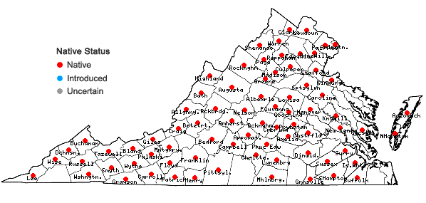 Locations ofCarex pensylvanica Lam. in Virginia