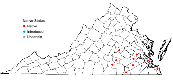 Locations ofCarex pigra Naczi in Virginia
