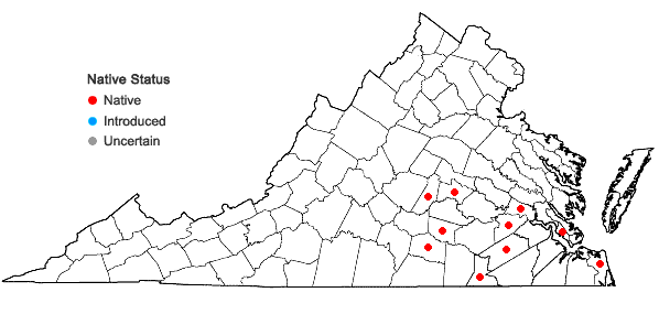 Locations ofCarex pigra Naczi in Virginia