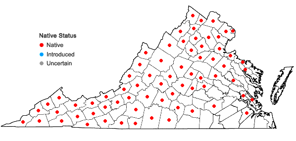 Locations ofCarex platyphylla Carey in Virginia