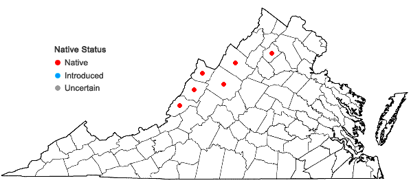 Locations ofCarex polymorpha Muhl. in Virginia