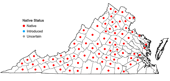 Locations ofCarex prasina Wahlenb. in Virginia