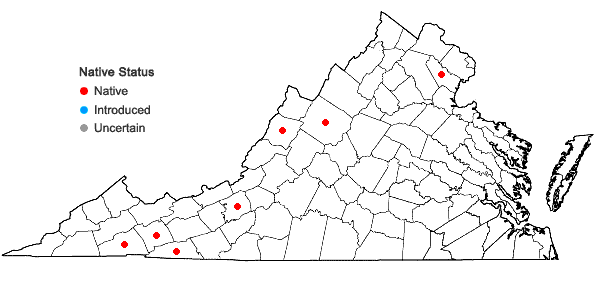 Locations ofCarex projecta Mackenzie in Virginia