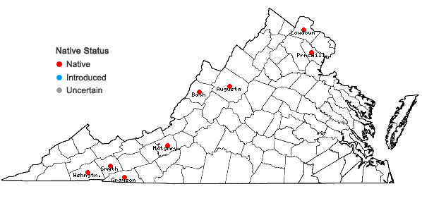 Locations ofCarex projecta Mackenzie in Virginia