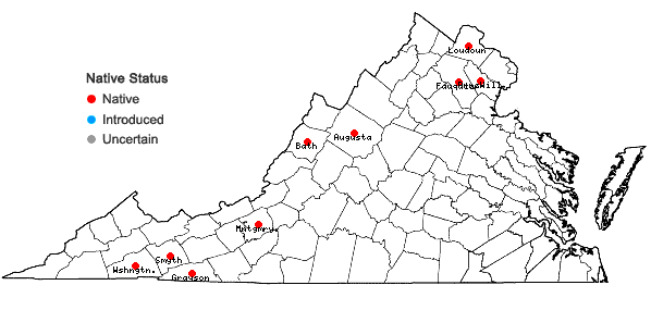 Locations ofCarex projecta Mackenzie in Virginia