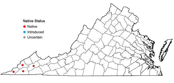 Locations ofCarex purpurifera Mackenzie in Virginia