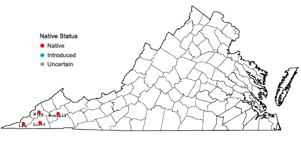 Locations ofCarex purpurifera Mackenzie in Virginia