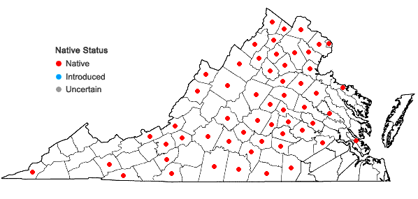 Locations ofCarex radiata (Wahlenb.) Small in Virginia