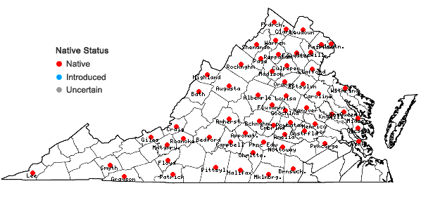 Locations ofCarex radiata (Wahlenb.) Small in Virginia