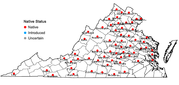 Locations ofCarex radiata (Wahlenb.) Small in Virginia