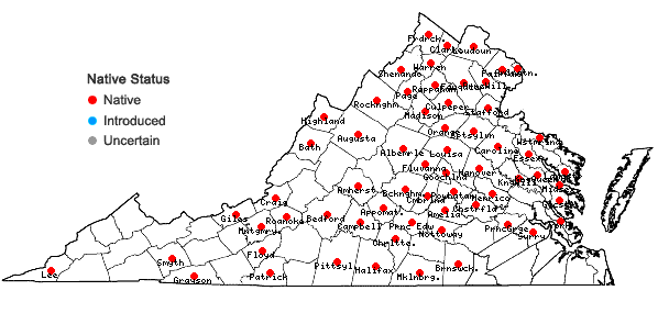 Locations ofCarex radiata (Wahlenb.) Small in Virginia
