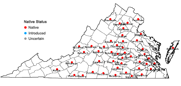 Locations ofCarex reznicekii Werier in Virginia