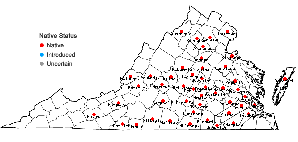 Locations ofCarex reznicekii Werier in Virginia