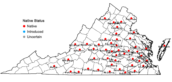 Locations ofCarex reznicekii Werier in Virginia