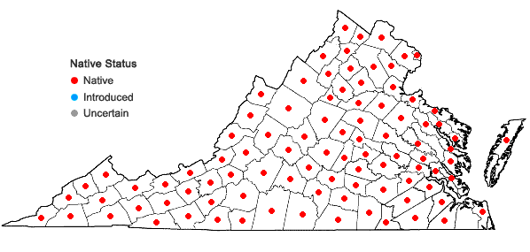 Locations ofCarex rosea Schk. ex Willd. in Virginia