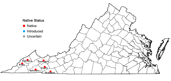 Locations ofCarex ruthii Mackenzie in Britton in Virginia