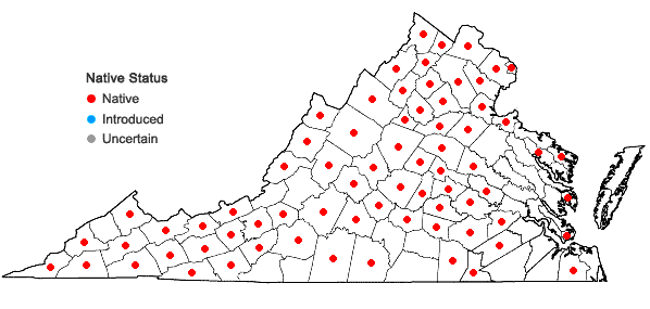 Locations ofCarex scoparia Schk. ex Willd. in Virginia