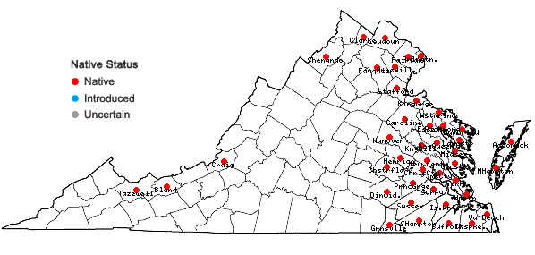 Locations ofCarex seorsa Howe in Gordinier & Howe in Virginia