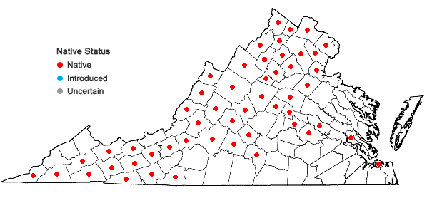 Locations ofCarex sparganioides Muhl. ex Willd. in Virginia