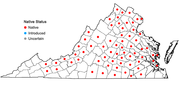 Locations ofCarex squarrosa L. in Virginia