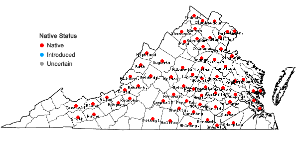 Locations ofCarex squarrosa L. in Virginia