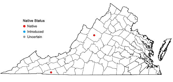 Locations ofCarex sterilis Willd. in Virginia