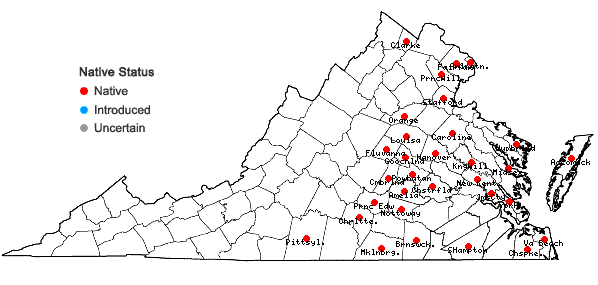 Locations ofCarex stipata Muhl. ex Willd. var. maxima Chapman ex Boott in Virginia