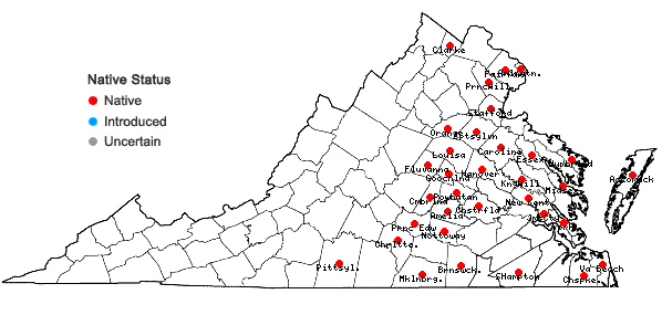 Locations ofCarex stipata Muhl. ex Willd. var. maxima Chapman ex Boott in Virginia