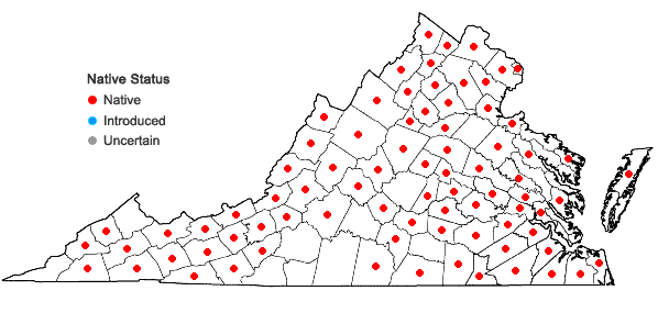 Locations ofCarex stipata Muhl. ex Willd. var. stipata in Virginia