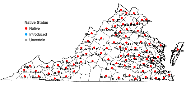 Locations ofCarex stipata Muhl. ex Willd. var. stipata in Virginia