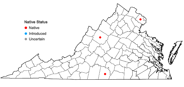 Locations ofCarex straminea Willd. in Schk. in Virginia