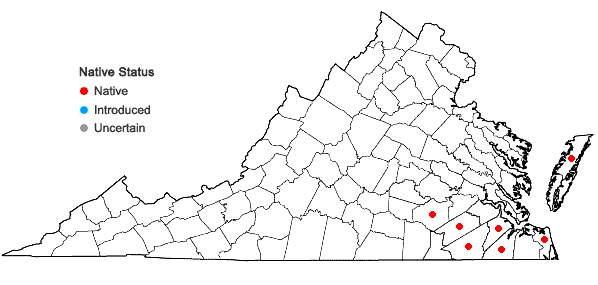Locations ofCarex striata Michaux var. brevis Bailey in Virginia