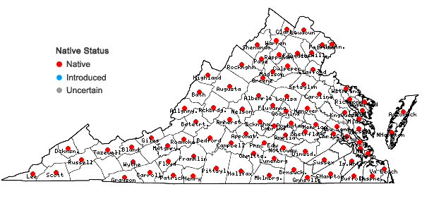Locations ofCarex striatula Michaux in Virginia