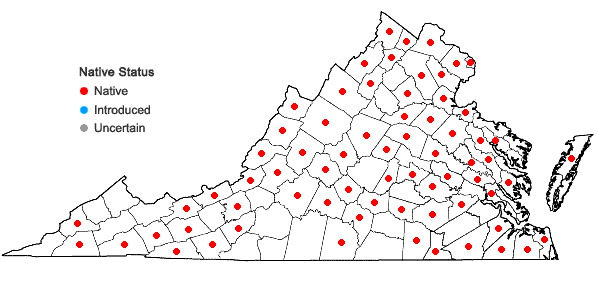Locations ofCarex stricta Lam. in Virginia