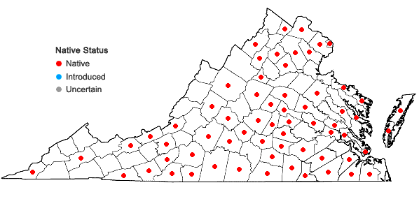 Locations ofCarex styloflexa Buckley in Virginia