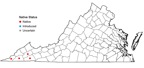 Locations ofCarex superata Naczi, Rezn., & Ford in Virginia