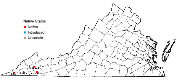 Locations ofCarex superata Naczi, Rezn., & Ford in Virginia