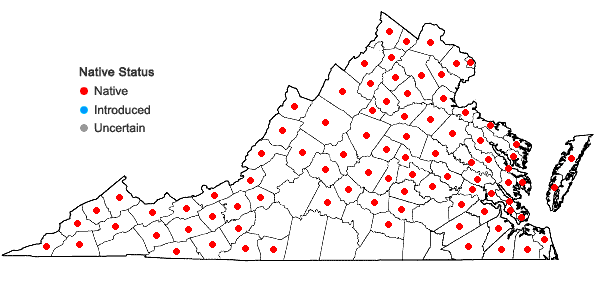 Locations ofCarex swanii (Fernald) Mackenzie in Virginia