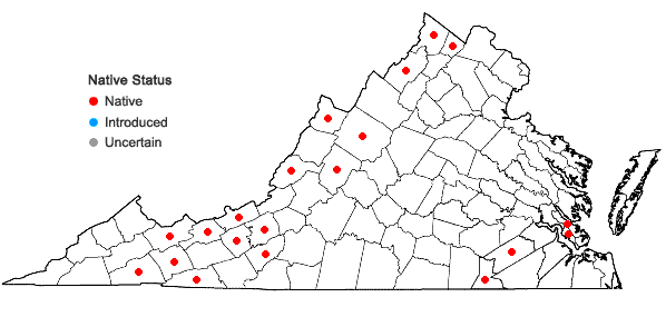 Locations ofCarex tetanica Schkuhr in Virginia