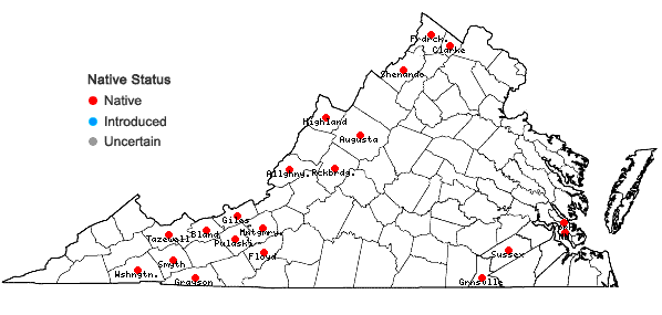 Locations ofCarex tetanica Schkuhr in Virginia