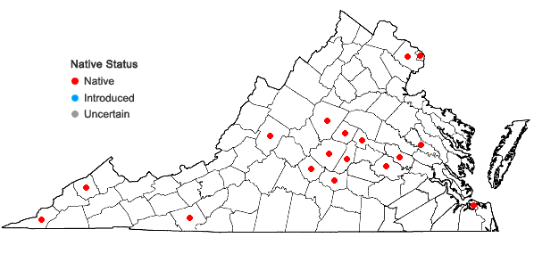 Locations ofCarex texensis (Torr.) Bailey in Virginia