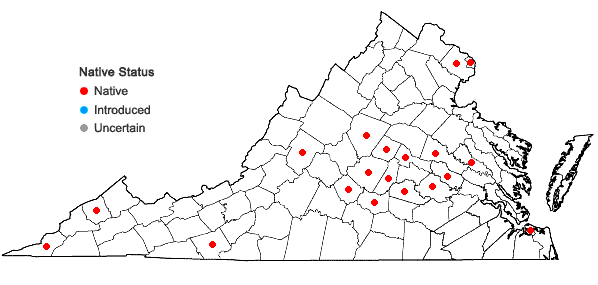 Locations ofCarex texensis (Torr.) Bailey in Virginia