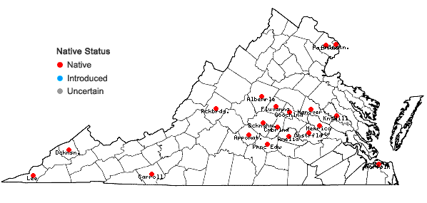 Locations ofCarex texensis (Torr.) Bailey in Virginia